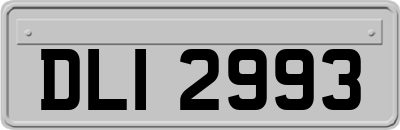 DLI2993