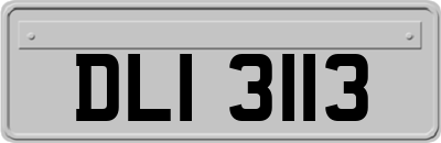 DLI3113