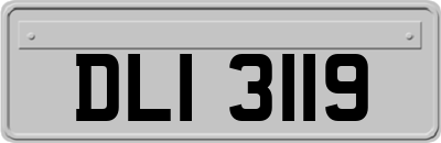 DLI3119
