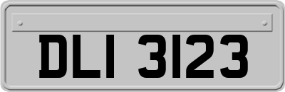 DLI3123