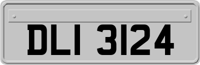 DLI3124