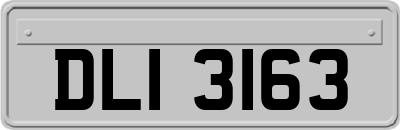 DLI3163