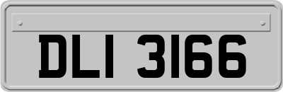 DLI3166