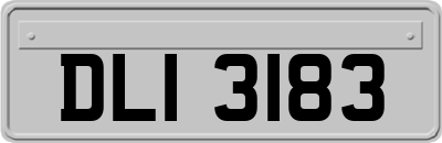 DLI3183