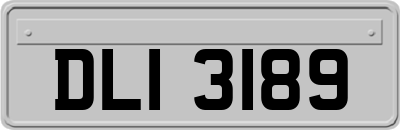 DLI3189