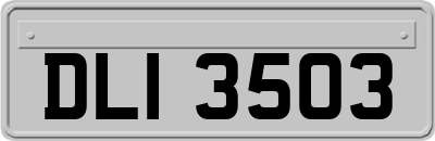 DLI3503