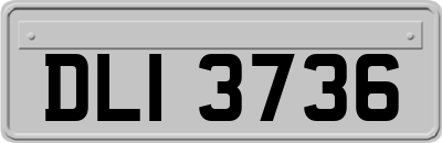 DLI3736