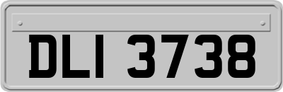 DLI3738