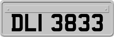 DLI3833