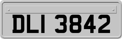 DLI3842