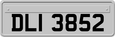DLI3852