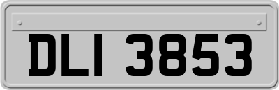 DLI3853
