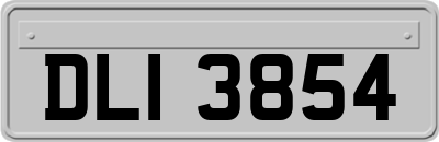 DLI3854