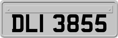 DLI3855