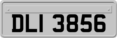 DLI3856