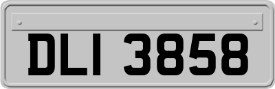 DLI3858