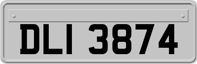 DLI3874