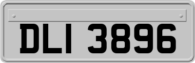 DLI3896