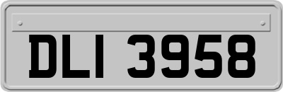 DLI3958