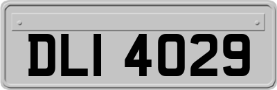DLI4029