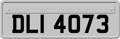 DLI4073