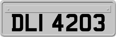 DLI4203