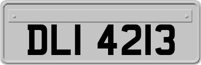 DLI4213