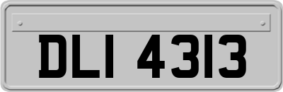 DLI4313