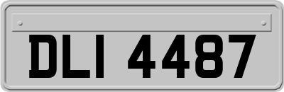 DLI4487