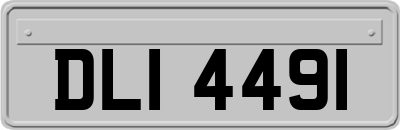 DLI4491