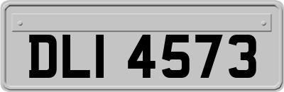 DLI4573