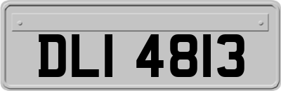 DLI4813