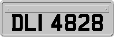 DLI4828