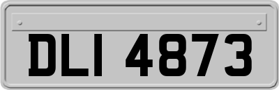 DLI4873