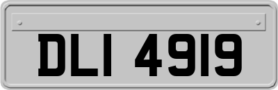 DLI4919