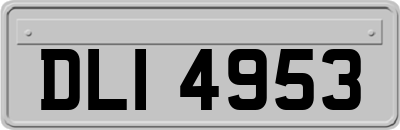 DLI4953