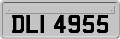 DLI4955