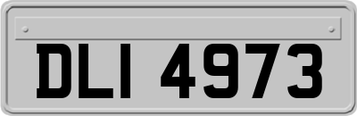 DLI4973