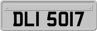 DLI5017