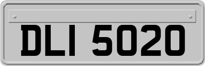 DLI5020