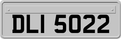 DLI5022