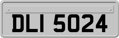 DLI5024