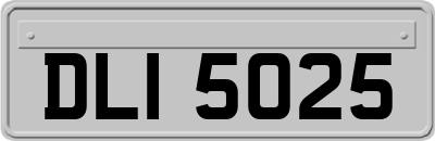DLI5025
