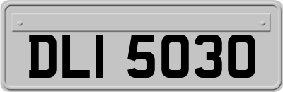DLI5030