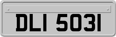 DLI5031
