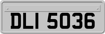 DLI5036