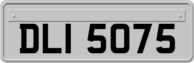 DLI5075