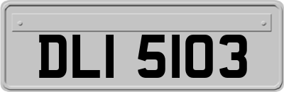 DLI5103