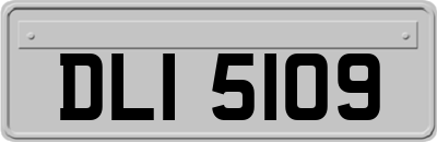 DLI5109