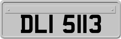 DLI5113